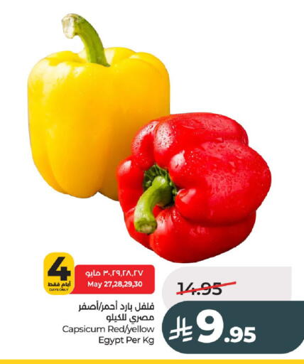 Capsicum from Egypt available at لولو هايبرماركت in مملكة العربية السعودية, السعودية, سعودية - عنيزة