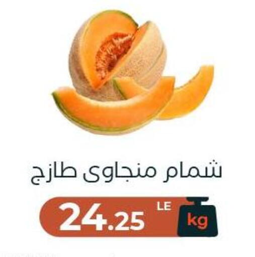 available at عرفة ماركت in Egypt - القاهرة
