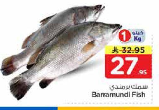 available at نستو in مملكة العربية السعودية, السعودية, سعودية - الخرج