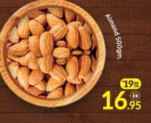 Mango available at مانجو هايبرماركت in الإمارات العربية المتحدة , الامارات - دبي