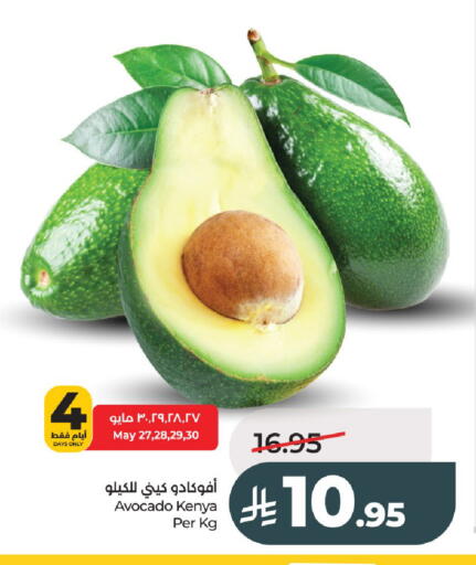 Avocado from Kenya available at لولو هايبرماركت in مملكة العربية السعودية, السعودية, سعودية - عنيزة