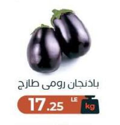 available at عرفة ماركت in Egypt - القاهرة