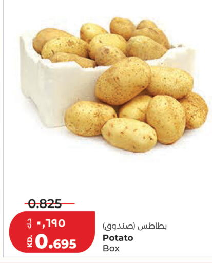 Potato available at Lulu Hypermarket  in Kuwait - Kuwait City