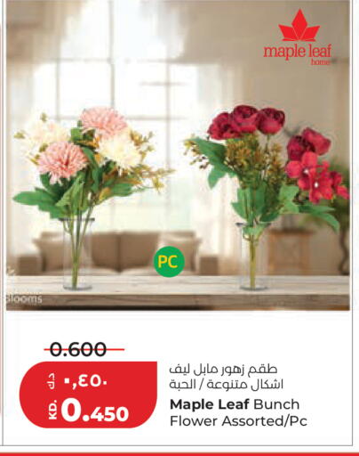 available at لولو هايبر ماركت in الكويت - مدينة الكويت