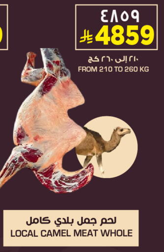 available at نستو in مملكة العربية السعودية, السعودية, سعودية - الخرج