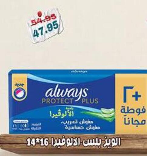 available at Dlina Market in Egypt - Cairo