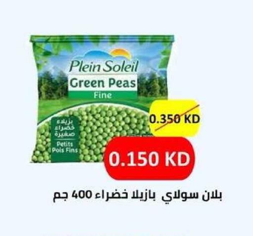 Peas available at جمعية ضاحية عبدالله السالم والمنصورية التعاونية in الكويت - مدينة الكويت