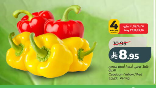 Capsicum from Egypt available at LULU Hypermarket in KSA, Saudi Arabia, Saudi - Tabuk