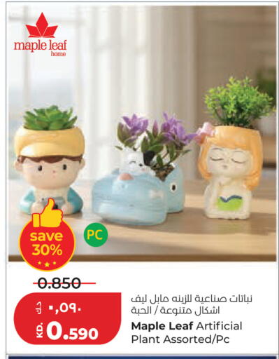 available at لولو هايبر ماركت in الكويت - مدينة الكويت