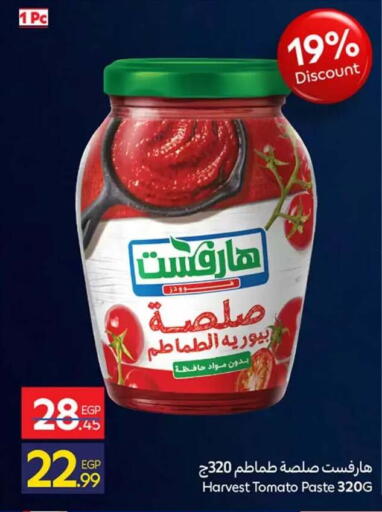 Tomato available at كارفور in Egypt - القاهرة