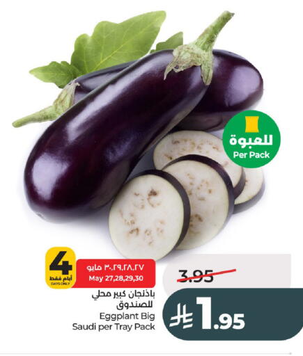 Eggplant from Saudi Arabia available at لولو هايبرماركت in مملكة العربية السعودية, السعودية, سعودية - عنيزة