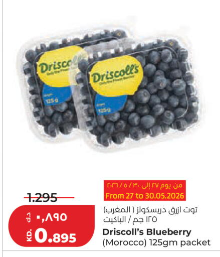 Blueberry BlueBerry from Morocco available at Lulu Hypermarket  in Kuwait - Kuwait City