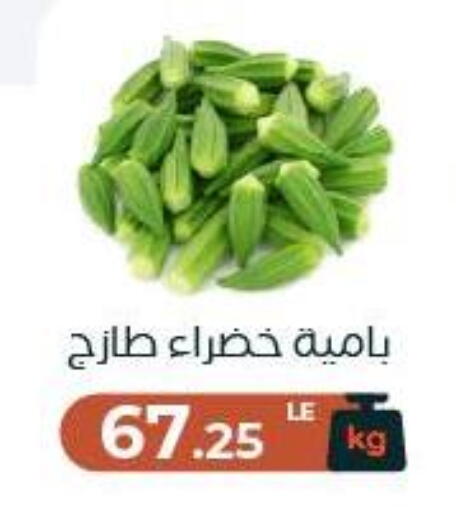 available at عرفة ماركت in Egypt - القاهرة