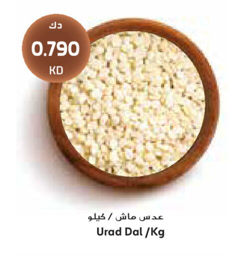 available at Grand Costo in Kuwait - Kuwait City