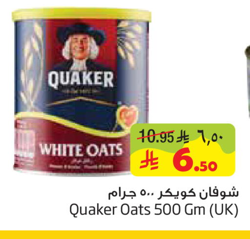 available at Layan Hyper in KSA, Saudi Arabia, Saudi - Dammam
