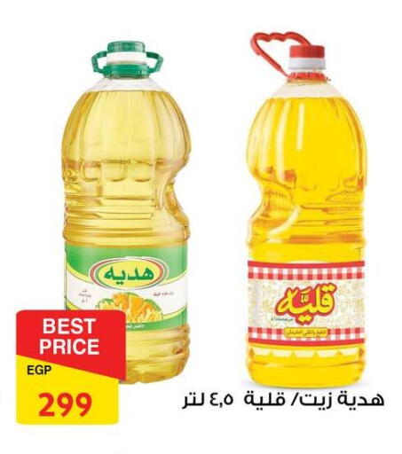 available at فتح الله in Egypt - القاهرة