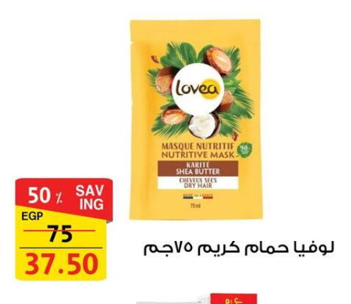 available at فتح الله in Egypt - القاهرة