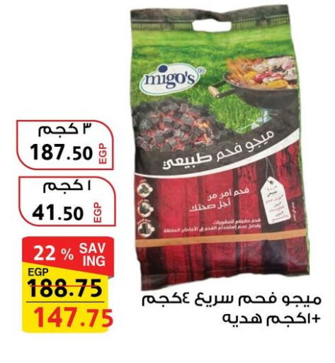 available at فتح الله in Egypt - القاهرة