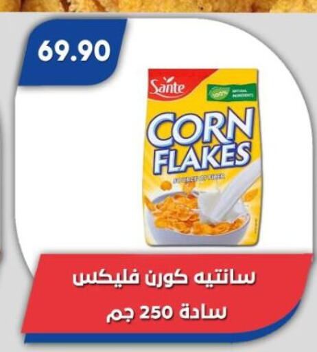 available at باسم ماركت in Egypt - القاهرة
