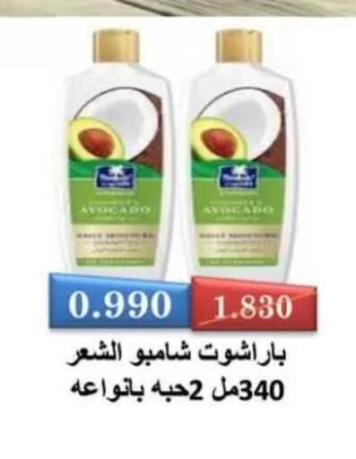 Avocado available at Al Masayel co-op  in Kuwait - Kuwait City