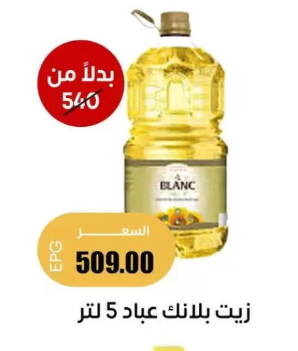 available at Ghallab Market in Egypt - Cairo