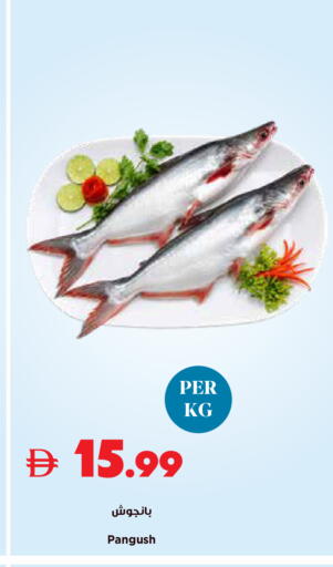 available at تروليز سوبرماركت in الإمارات العربية المتحدة , الامارات - الشارقة / عجمان