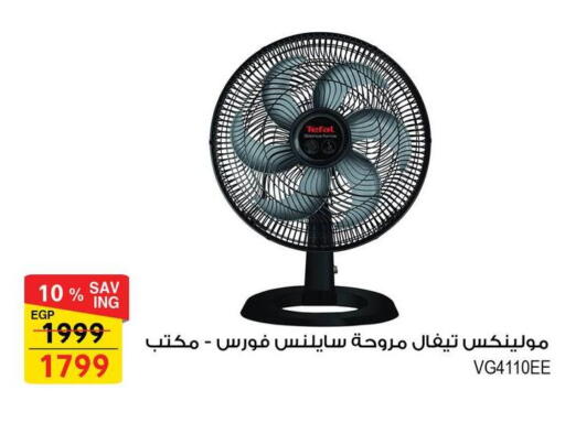 available at Fathalla Market  in Egypt - Cairo