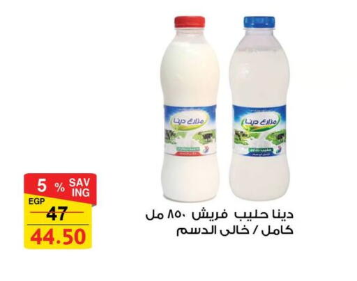 available at فتح الله in Egypt - القاهرة