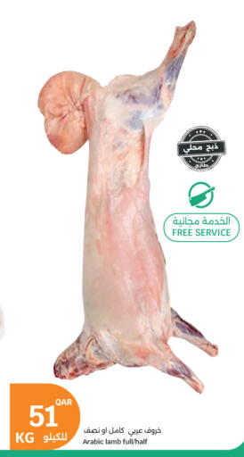 available at سيتي هايبرماركت in قطر - الدوحة