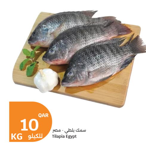 available at سيتي هايبرماركت in قطر - الخور