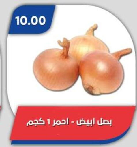available at باسم ماركت in Egypt - القاهرة