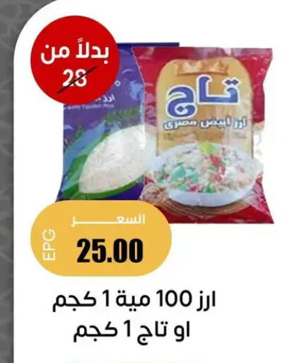 available at Ghallab Market in Egypt - Cairo