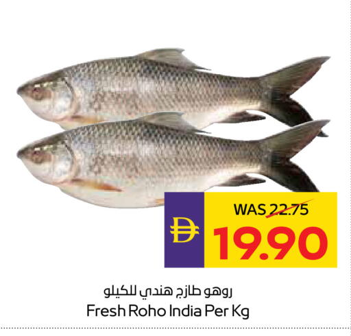 available at ADCOOP in UAE - Abu Dhabi