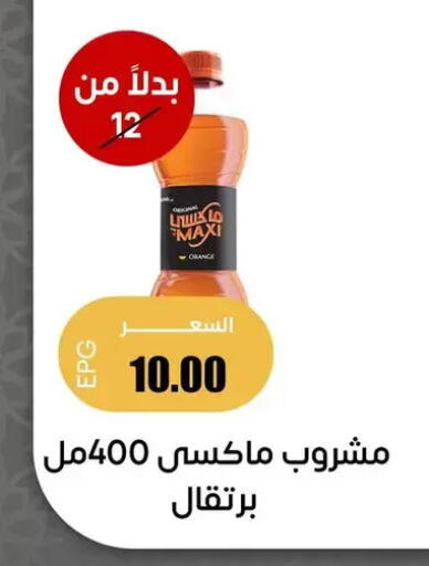 Orange available at Ghallab Market in Egypt - Cairo
