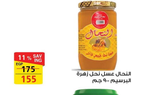 available at فتح الله in Egypt - القاهرة