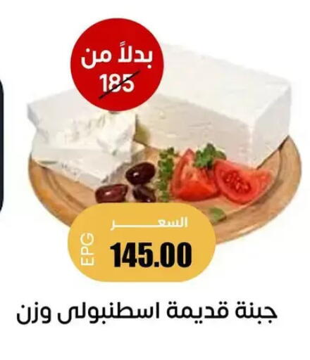 available at سوق غلاب in Egypt - القاهرة