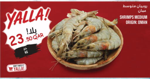 available at مونوبريكس in قطر - الخور