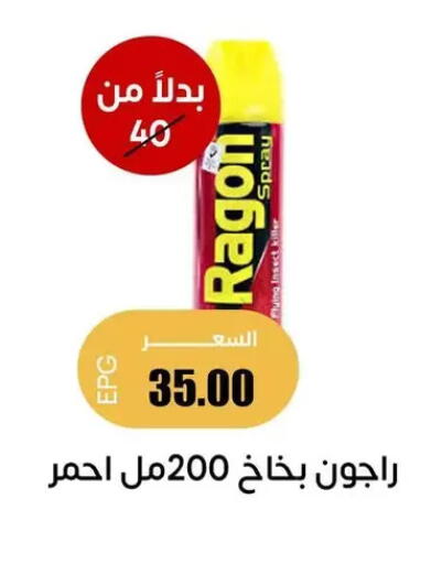 available at Ghallab Market in Egypt - Cairo