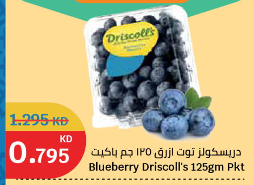 Blueberry BlueBerry available at سيتي هايبرماركت in الكويت - مدينة الكويت