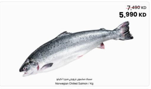 available at The Sultan Center in Kuwait - Kuwait City