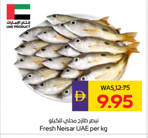 available at أدكووب in الإمارات العربية المتحدة , الامارات - أبو ظبي