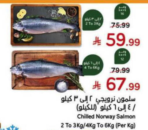available at Hyper Panda in KSA, Saudi Arabia, Saudi - Al-Kharj