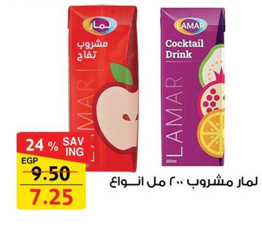 available at فتح الله in Egypt - القاهرة