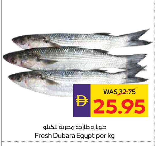 available at أدكووب in الإمارات العربية المتحدة , الامارات - أبو ظبي