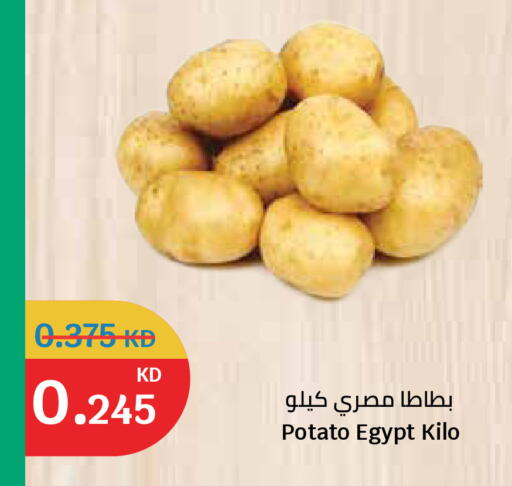 Potato from Egypt available at سيتي هايبرماركت in الكويت - مدينة الكويت