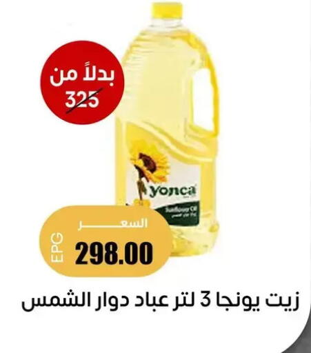 available at Ghallab Market in Egypt - Cairo