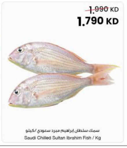 available at مركز سلطان in الكويت - مدينة الكويت