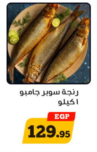 available at أولاد رجب in Egypt - القاهرة