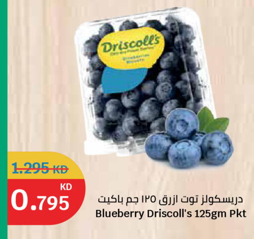 Blueberry BlueBerry available at سيتي هايبرماركت in الكويت - مدينة الكويت