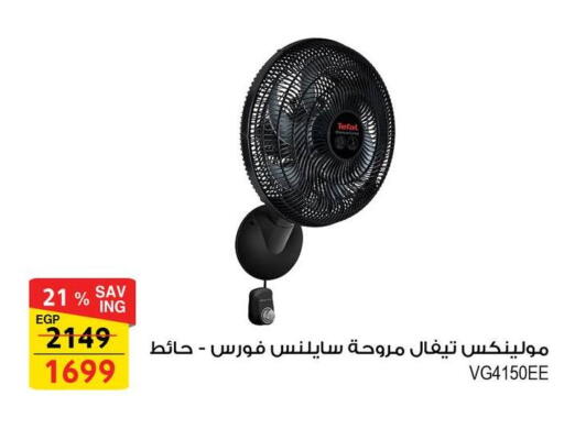 available at Fathalla Market  in Egypt - Cairo